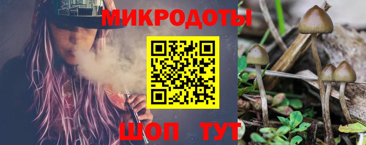Тавда  Псилоцибиновые грибы мицелий  Вход с VPN  Псилоцибиновые грибы ЛСД 